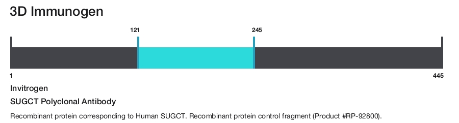 SUGCT Polyclonal Antibody