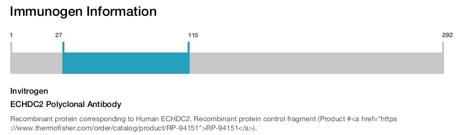 ECHDC2 Polyclonal Antibody