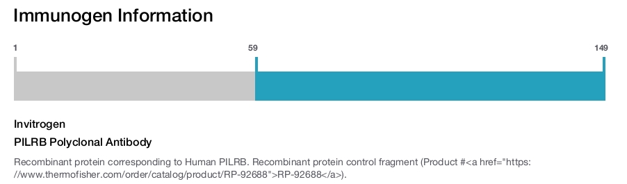 PILRB Polyclonal Antibody