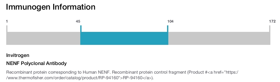 NENF Polyclonal Antibody