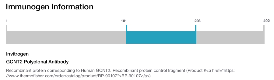 GCNT2 Polyclonal Antibody