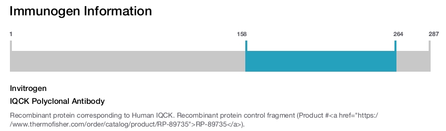 IQCK Polyclonal Antibody