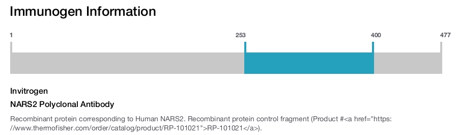 NARS2 Polyclonal Antibody