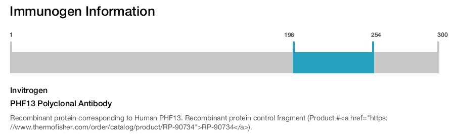 PHF13 Polyclonal Antibody