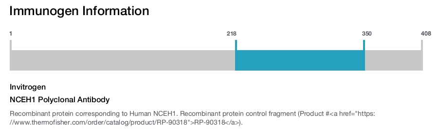 NCEH1 Polyclonal Antibody