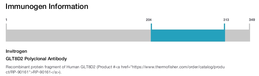 GLT8D2 Polyclonal Antibody