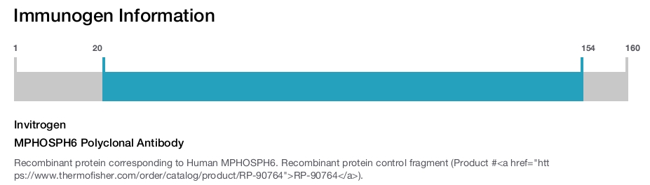 MPHOSPH6 Polyclonal Antibody