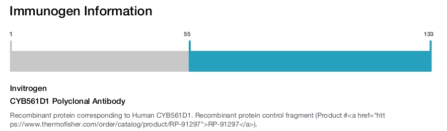 CYB561D1 Polyclonal Antibody