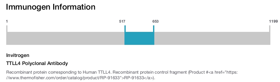 TTLL4 Polyclonal Antibody