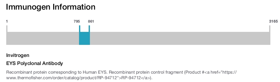 EYS Polyclonal Antibody