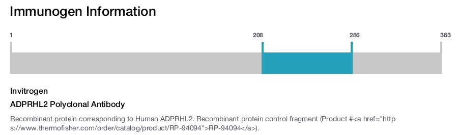 ADPRHL2 Polyclonal Antibody