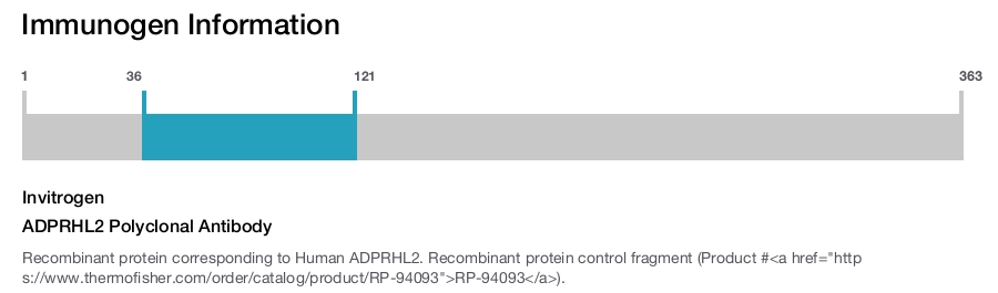 ADPRHL2 Polyclonal Antibody