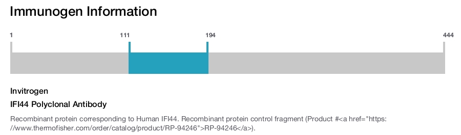 IFI44 Polyclonal Antibody