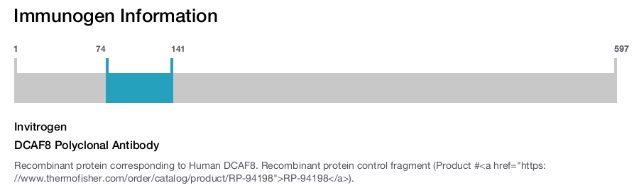 DCAF8 Polyclonal Antibody