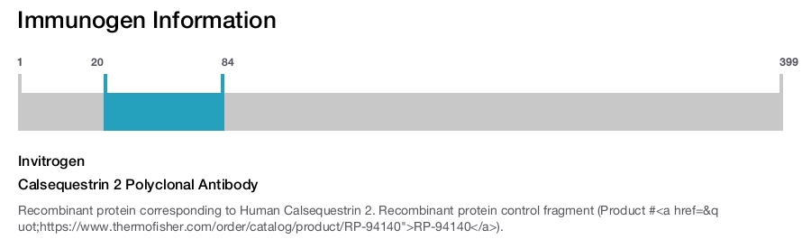 Calsequestrin 2 Polyclonal Antibody