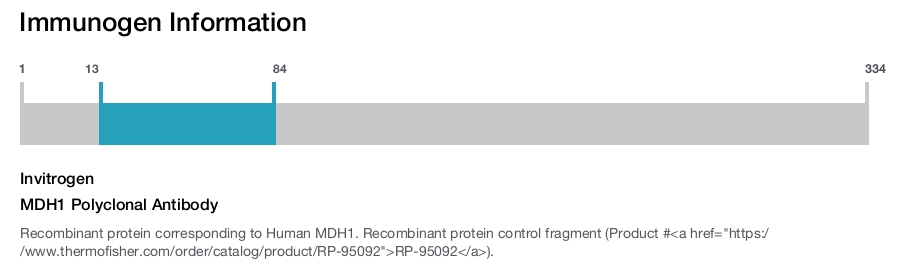 MDH1 Polyclonal Antibody