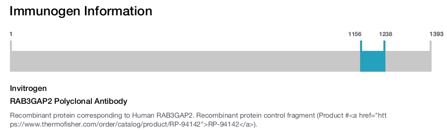 RAB3GAP2 Polyclonal Antibody