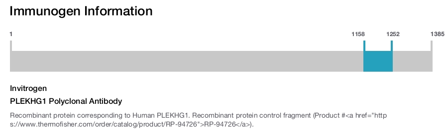 PLEKHG1 Polyclonal Antibody