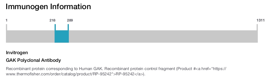 GAK Polyclonal Antibody
