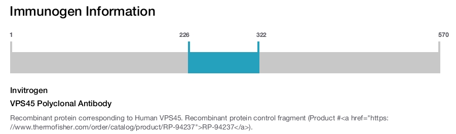 VPS45 Polyclonal Antibody