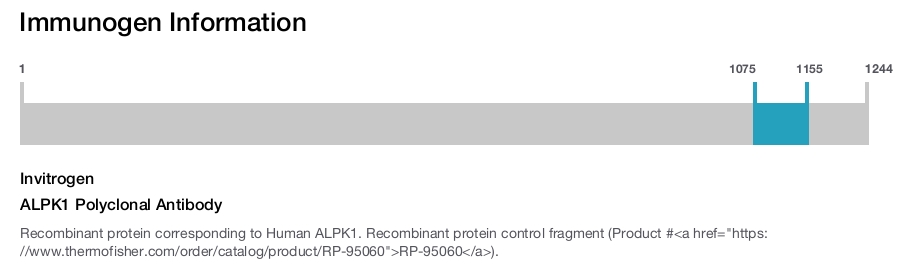 ALPK1 Polyclonal Antibody