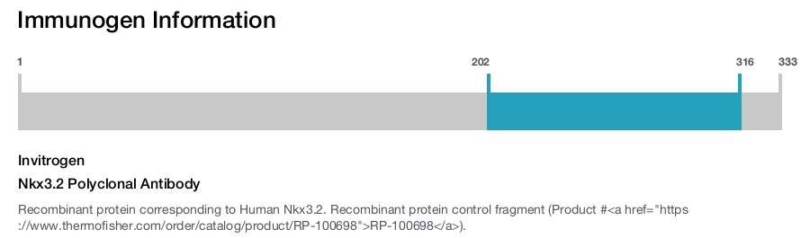 Nkx3.2 Polyclonal Antibody