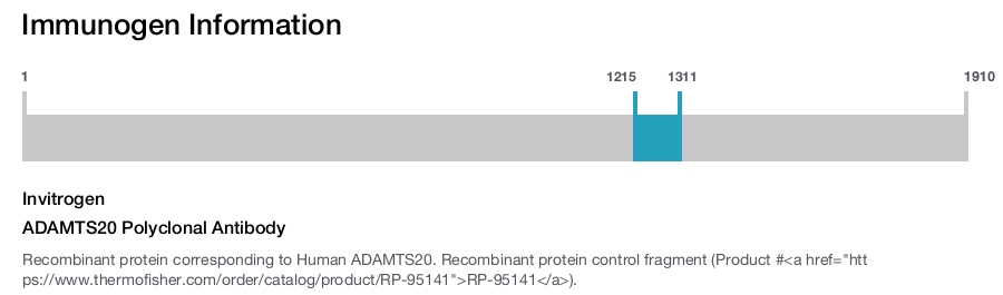 ADAMTS20 Polyclonal Antibody