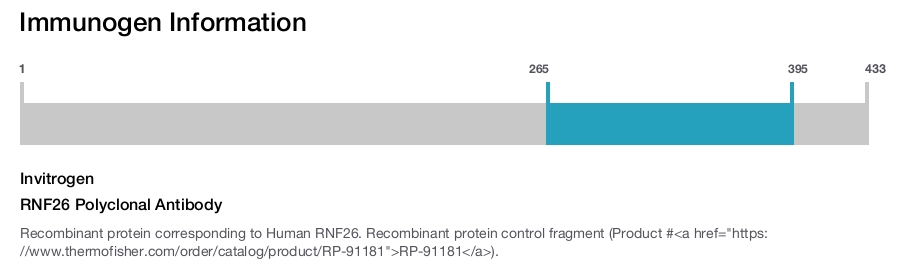 RNF26 Polyclonal Antibody