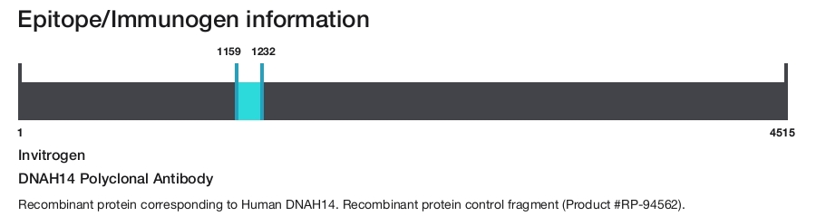 DNAH14 Polyclonal Antibody