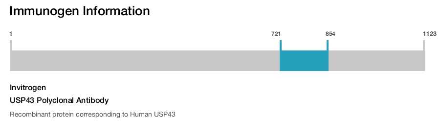 USP43 Polyclonal Antibody