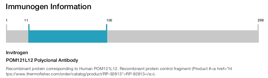 POM121L12 Polyclonal Antibody