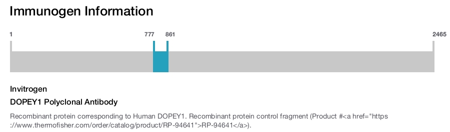 DOPEY1 Polyclonal Antibody