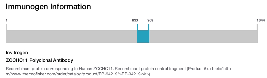 ZCCHC11 Polyclonal Antibody