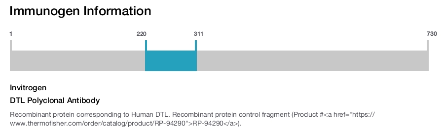 DTL Polyclonal Antibody