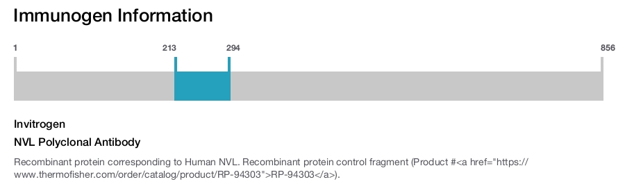 NVL Polyclonal Antibody