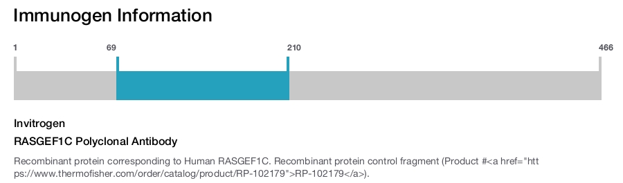 RASGEF1C Polyclonal Antibody
