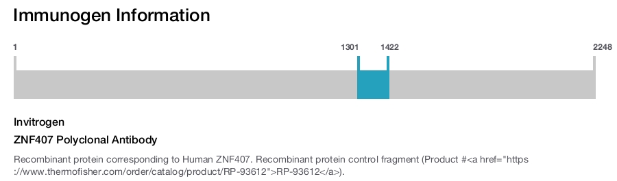 ZNF407 Polyclonal Antibody