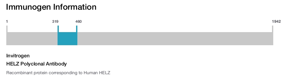 HELZ Polyclonal Antibody