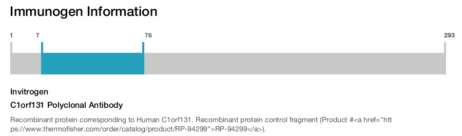 C1orf131 Polyclonal Antibody