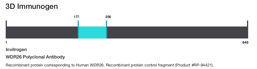 WDR26 Polyclonal Antibody
