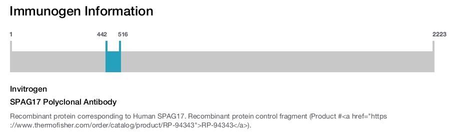 SPAG17 Polyclonal Antibody