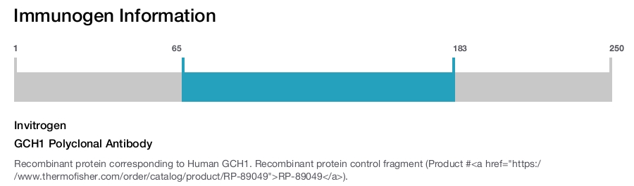 GCH1 Polyclonal Antibody