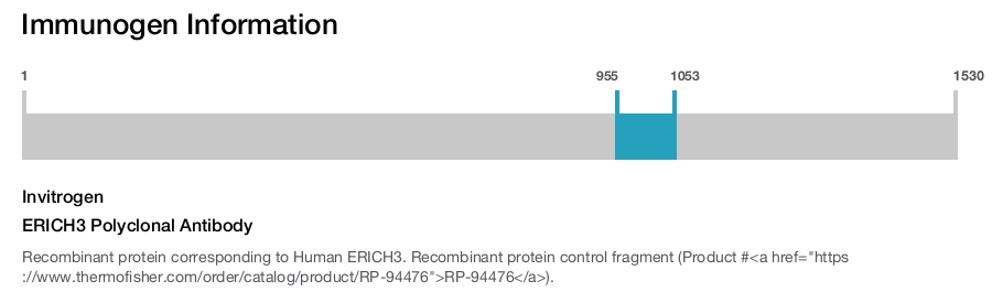 ERICH3 Polyclonal Antibody