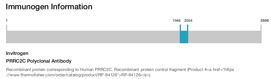 PRRC2C Polyclonal Antibody
