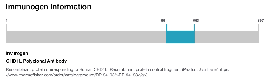 CHD1L Polyclonal Antibody