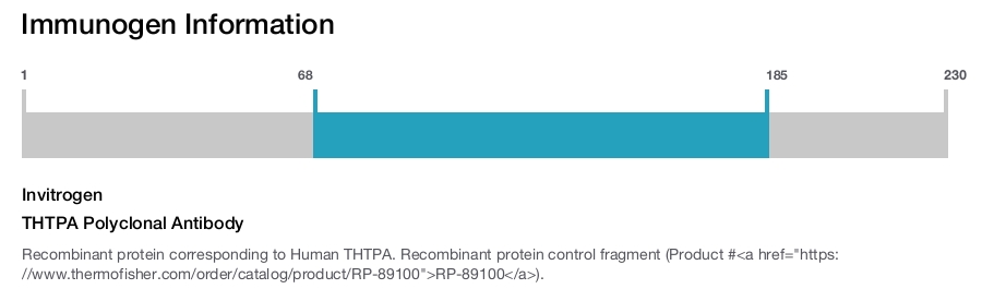 THTPA Polyclonal Antibody