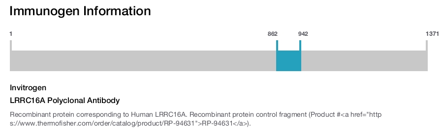 LRRC16A Polyclonal Antibody