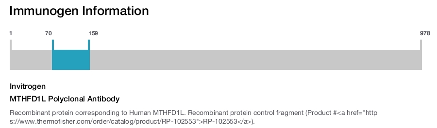 MTHFD1L Polyclonal Antibody