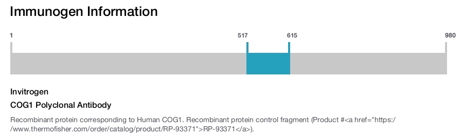 COG1 Polyclonal Antibody