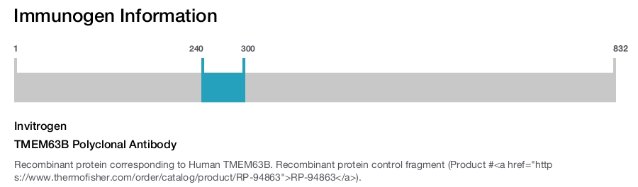 TMEM63B Polyclonal Antibody
